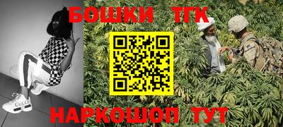 шишки Краснодар