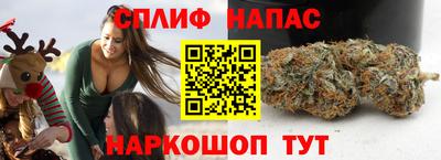 шишки Краснодар