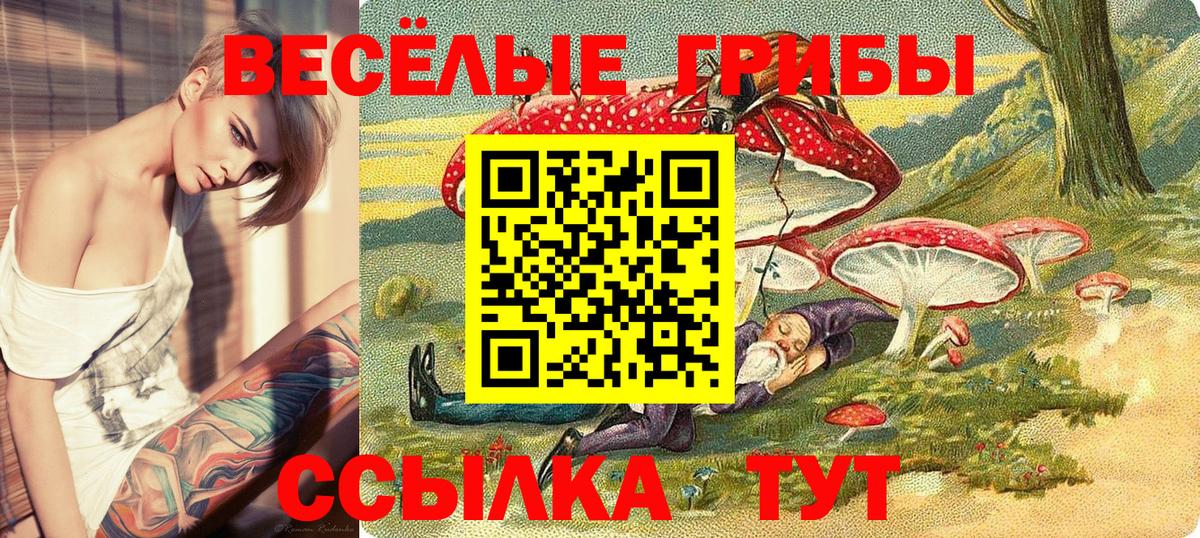 Екатеринбург  Псилоцибиновые грибы Psilocybine cubensis  Вход с VPN 