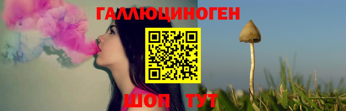 Галлюциногенные грибы мицелий Екатеринбург